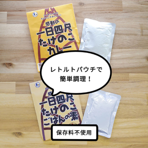 たけのこカレー1人前×2個 たけのこごはんの素3合×2個 合計4個セット【08101】