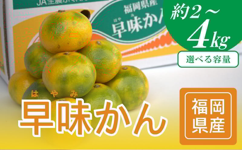 
            【2026年9月中旬から順次発送】早味かん 約2kg 約4kg【福岡ブランドみかん】福岡県 川崎町【みかん ミカン mikan 蜜柑 ブランドみかん 高級みかん 柑橘 みかん・柑橘類 果物 くだもの 果物類 フルーツ】 
          