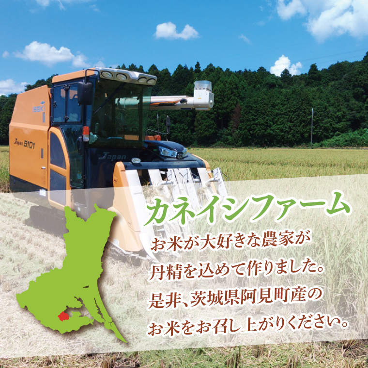 【先行予約】【10月中旬より発送】 コシヒカリ5kg・にじのきらめき5kg 食べくらべセット【お米 白米 コシヒカリ こしひかり 茨城県産】(71-01)