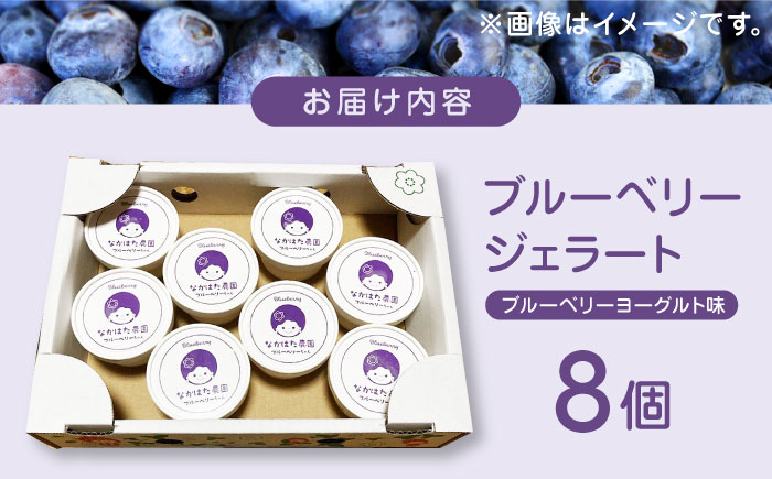 【限定数量】熊本県産 ブルーベリージェラート 8個 アイス カップ 熊本 山都町 冷凍【なかはた農園】[YBI024]