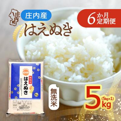 ふるさと納税 庄内町 【定期便】<令和8年産>はえぬき 無洗米 5kg×1袋×6ヶ月 毎月 5kg【10月中旬発送】
