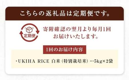 【3ヶ月定期便】 みずほファーム UKIHA RICE 白米 5kg✕2袋✕3回 （特別栽培米） 計30kg ヒノヒカリ ひのひかり 精米 米 こめ コメ お米 おこめ 白米 精米 ごはん ご飯 お中