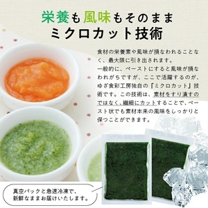 冷凍ほうれん草ペースト1.5kg(500g×3袋) 山形県遊佐産 冷凍便 ※離島発送不可 冷凍 ほうれん草 ほうれんそう ホウレンソウ 野菜 野菜ペースト 離乳食 介護食 お菓子作り 小分け ゆざ食彩