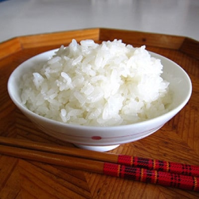 【毎月定期便】宮城県登米市産 つや姫(精米) 5kg×2袋セット全4回【4075516】