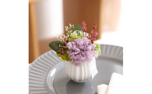 プリザーブドフラワー プリモ（カーネーション パープル）