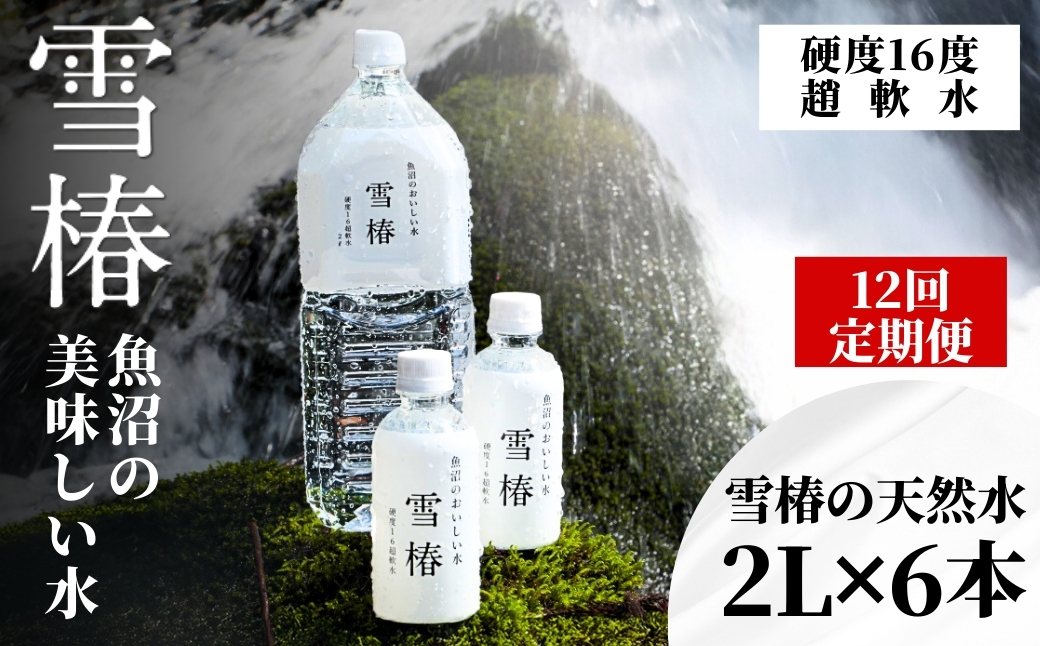【定期便】雪椿の天然水 2L×6本×全12回