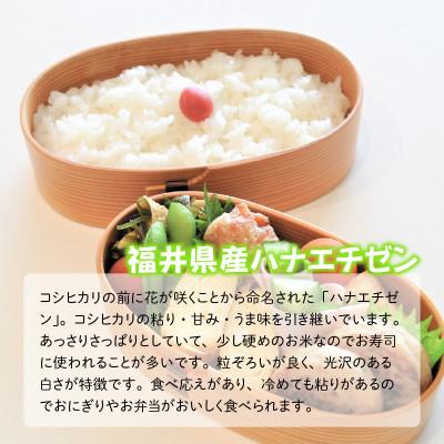 ふるさと納税 坂井市 おおかわさんちの華越前 10kg [B-10803] |  | 03