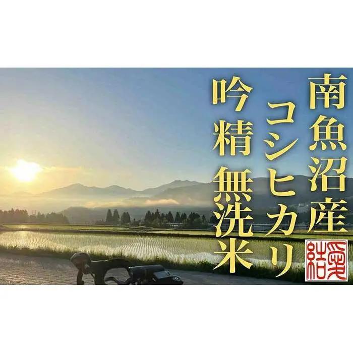 【令和7年産】【定期便8Kg×全12回【無洗米】 南魚沼産コシヒカリ【定期便 銘柄米 ブランド米 無洗米 こしひかり コシヒカリ 魚沼産 新潟米 産地直送 お米 米 こめ コメ ご飯 御飯 ごはん】