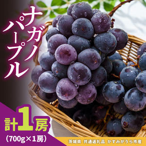 ナガノパープル 700g × 1房 ＜2026年8月より順次発送＞ (県内共通返礼品:かすみがうら市産)  種なし 皮ごと 甘い フルーツ 果物 くだもの ぶどう ブドウ 葡萄 甘い 新鮮 季節限定 秋 期間限定 旬 旬の果物 季節の果物 茨城 (BR179)