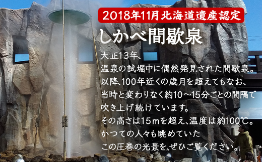 【2名様分】道の駅しかべ間歇泉公園 入園券 チケット 観光 スポット