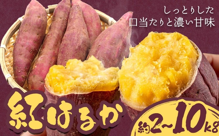 
            さつまいも【先行予約】 紅はるか 選べる 約2kg 約5kg 約10kg 株式会社シグマサポート《2026年10月中旬-12月中旬頃出荷予定(土日祝除く)》送料無料 サツマイモ 三重県 東員町 お菓子 おやつ 紅はるか やきいも さつまいも 手軽
          