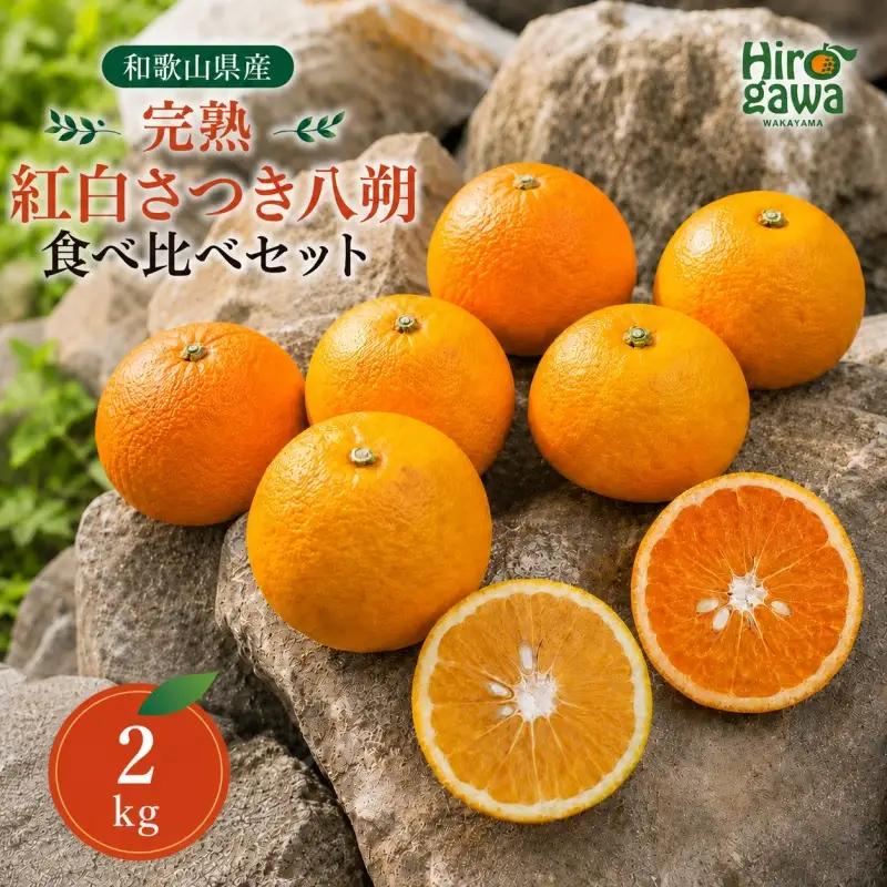 完熟 紅白 さつき 八朔 食べ比べ セット 2kg 6000円 久幸園  /  紅八朔 さつき八朔 はっさく 樹上完熟 完熟 木成り 柑橘 果物 くだもの フルーツ みかん 和歌山 有田 広川町 ※4月上旬〜5月上旬頃に順次発送予定  //hassaku 【hsk022-mix-2】