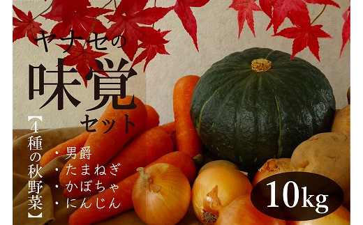 
R6年産　味覚セット　約10kg　ヤナセ農園/013-27093-b01A
