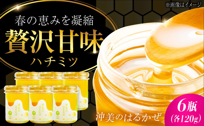 
            江田島産100％ はちみつ 『沖美のはるかぜ』120g×6本セット ハチミツ 蜂蜜 国産 広島 江田島市/はつはな果蜂園 [XCD005] ハチミツ 国産蜂蜜 国産はちみつ 国産純粋はちみつ 蜜 蜂蜜 はちみつ ハニー honey 人気ハチミツ 日本蜜蜂 純粋はちみつ 常温 保存 備蓄 防災食 非常食 保存食 産地直送 国産
          