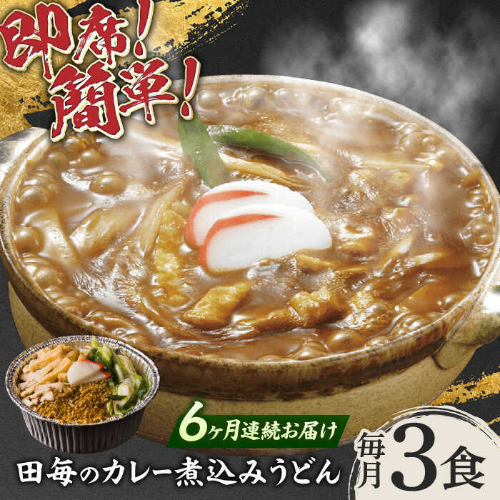 【ふるさと納税】【6回定期便】うどん 岐阜の味 田毎のカレー煮込みうどんセット 即席 カンタン 麺 うどん カレーうどん 煮込みうどん カレーライス カレー 冷凍 定期便 スパイス 具材付き 鍋不要 老舗の味 名店 ギフト プレゼント 人気 岐阜市 / ラボレムス[ANFP007]