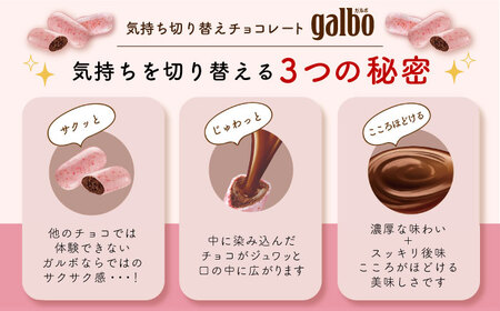 ガルボつぶ練り苺パウチ 48袋[AOAA029] チョコレート お菓子
