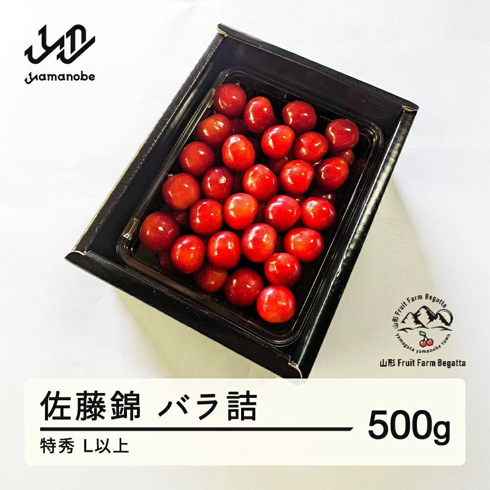 【ふるさと納税】 《先行予約》2025年 山形県産 さくらんぼ 佐藤錦 バラ詰 500g 特秀 L以上 F20A-897 ※沖縄・離島への配送不可