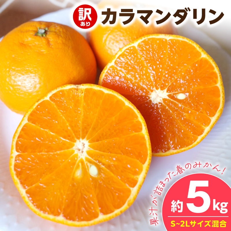 【2027年先行予約】《訳あり 家庭用》カラマンダリン 約5kg（S～2Lサイズ混合）_EQ6006