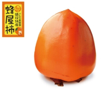 ＜先行受付＞蜂屋柿　約6kg 【2025年10月下旬以降順次発送】【柿　かき　カキ　蜂屋柿　蜂屋かき　蜂屋カキ　柿先行予約　かき先行予約　カキ先行予約　かき　柿　カキ】
