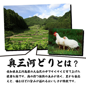 【調理済】奥三河どりの串焼き 砂肝 20本 鶏肉 鳥肉 焼鳥 焼き鳥 やきとり セット 小分け 総菜 おかず おつまみ