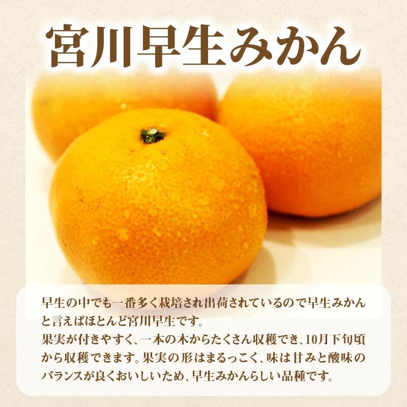 【ふるさと納税】【配送不可地域：北海道・沖縄県・離島】定期便 3回 フルーツ ゆら早生みかん 果汁たっぷり 三豊市産 厳選品 デコポン 宮川早生みかん Ｓ〜Ｌサイズ 甘み 酸味 旬の季節 お届け 香川