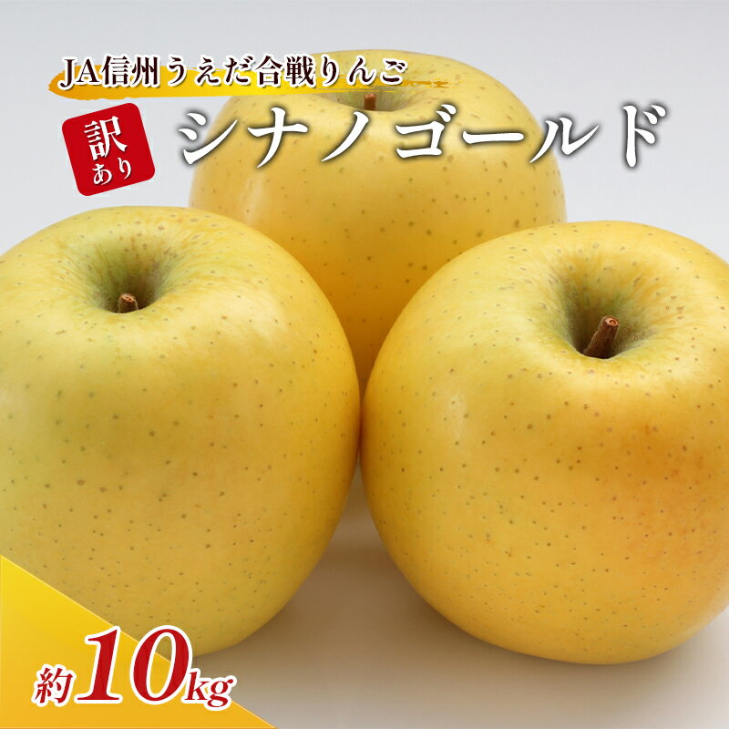 【ふるさと納税】訳あり りんご JA信州うえだ 合戦りんご シナノゴールド 約10kg リンゴ 林檎 果物 くだもの フルーツ 信州 長野 離乳食 訳アリ わけあり 傷　お届け：2025年10月下旬から11月上旬まで