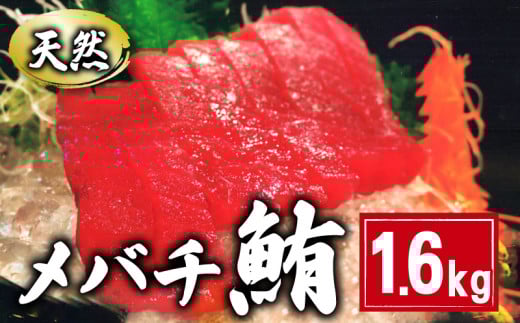 天然 メバチまぐろ切身 約1.6kg 160×10パック まぐろ 鮪 刺身 赤身 肉 鉢マグロ ネギトロ マグロ漬け 海鮮丼 丼 寿司 鉄火丼 手巻き寿司 魚 海鮮 魚介 おつまみ おかず 冷凍 小分け 個包装 お取り寄せ 国産 千葉県 銚子市 和田水産