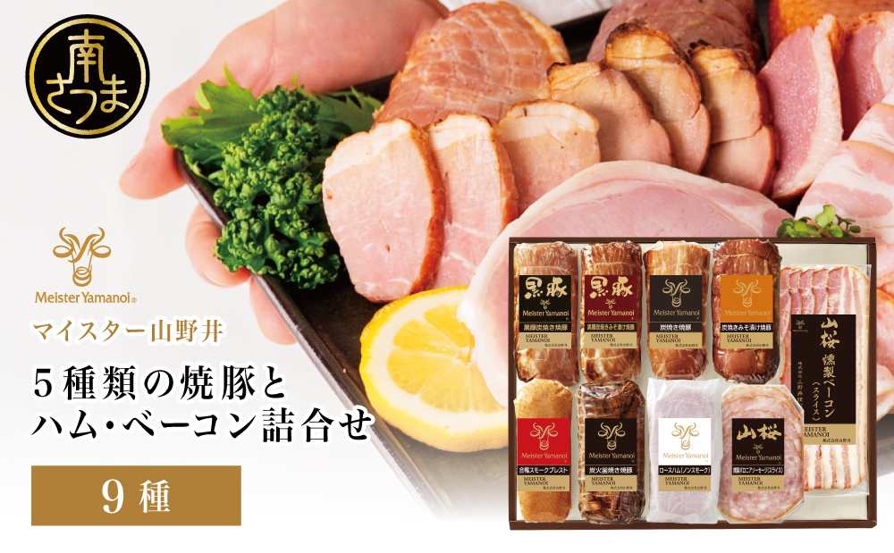 【マイスター山野井】5種類の焼豚とハム・ベーコン詰め合わせ（9種） ハム 焼き豚 ロースハム 合鴨 みそ漬け ハムギフト グルメ 惣菜 詰合せ アソート ギフト 内祝い 贈答 冷蔵 山野井 鹿児島