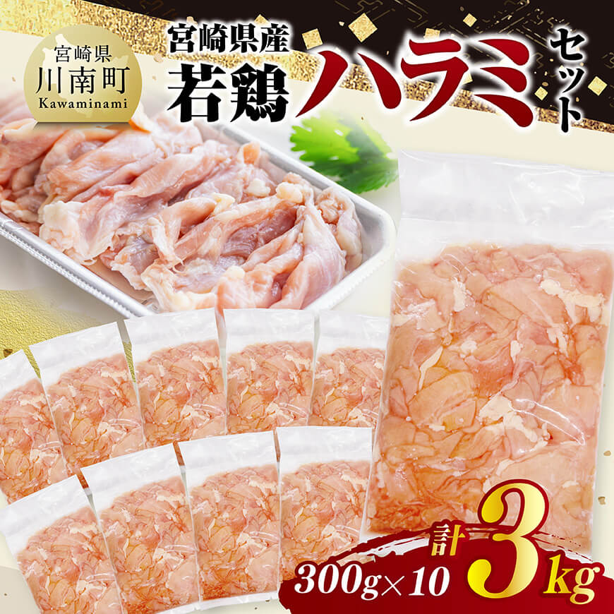 宮崎県産若鶏　ハラミ3kg（300g×10）　鶏肉 はらみ 肉 [C11605]