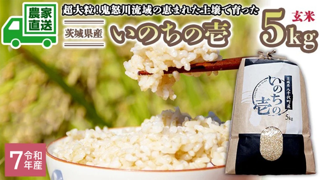 【選べる 玄米 精米】令和7年産 茨城県産 いのちの壱 5kg 米 こめ コメ 農家 直送 こだわり お米 おこめ 茨城 [BG013ya] [BG014ya]