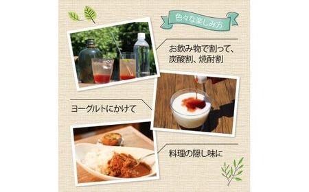 梅ピューレUMEBERRY 1本 ( ブルーベリーピューレ 梅ベリーピューレ 果物ピューレ 京都ピューレ )