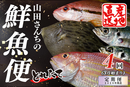 【定期便4回】山田さんちの鮮魚便(3月始まり)