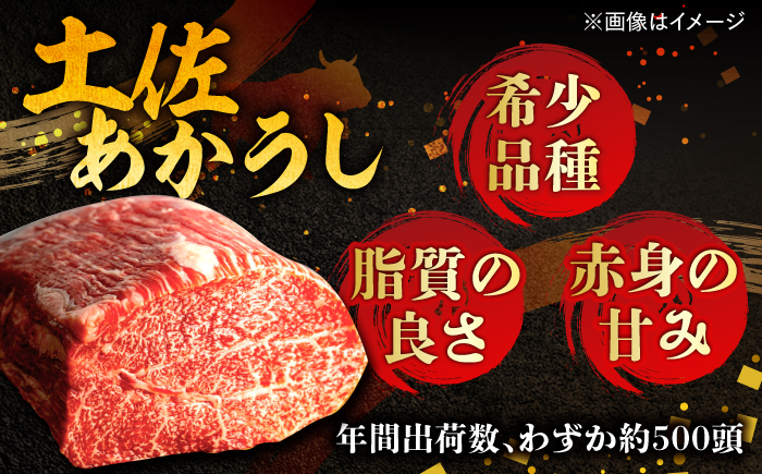 高知土佐あかうしビーフカレー 10食セット レトルト カレー あか牛 土佐あかうし 牛肉 牛カレー 保存食 常備 人気 おすすめ 高知市 【株式会社 四国健商】 [ATAF053]