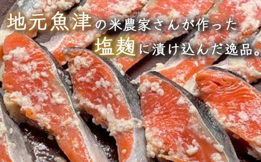 銀鮭塩麹漬け　20切入 ※北海道・沖縄・離島への配送不可