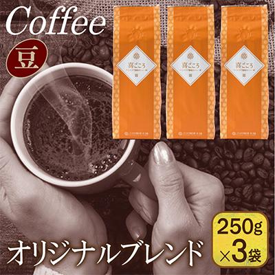 ふるさと納税 泉佐野市 喜ごころブレンド 250g×3袋/豆