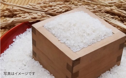 
            [受注後精米]さがびより無洗米8kg(2kg×4袋)【大塚米穀店】
          