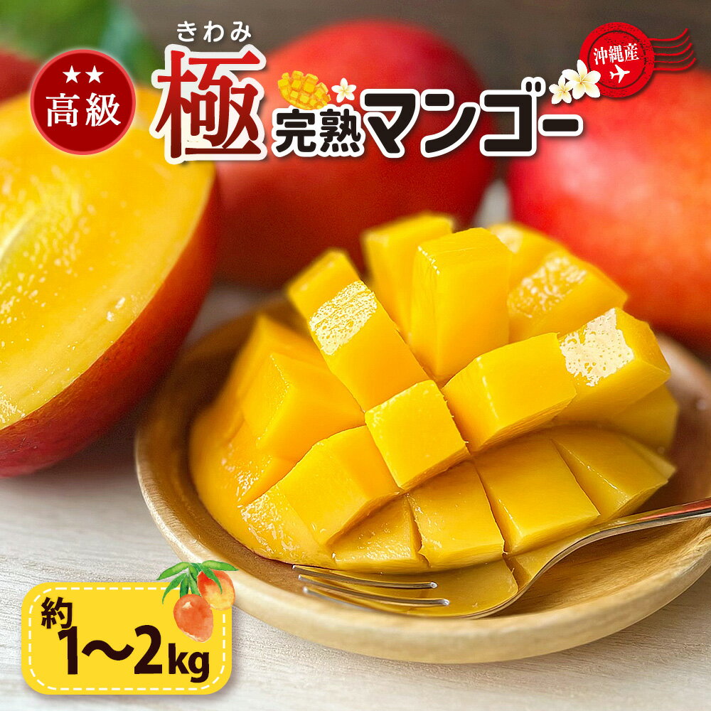 【ふるさと納税】高級マンゴー　極1～2kg【熱帯資源植物研究所】 マンゴー 沖縄 秀品 ギフト 完熟マンゴー アップルマンゴー フルーツ 果物 産地直送 プレゼント 贈り物 国産 お取り寄せ うるま市