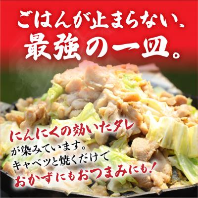 ふるさと納税 下呂市 鶏ちゃんの名店「まるはち食堂」480g×2(約6人前)下呂の味!!けいちゃん【48-1】 |  | 01