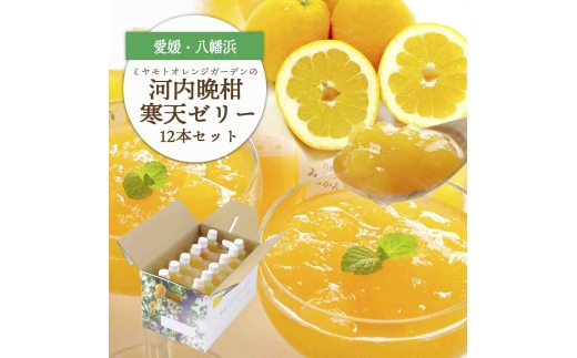 ゲル化剤・pH調整剤不使用!愛媛産 河内晩柑寒天ゼリー 12本セット＜D25-223＞【1628741】 YWTAP164