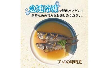 冷凍鮮魚セット 600g(2~3種) 下処理済み 冷凍鮮魚 ［1712］