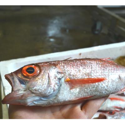 ふるさと納税 小浜市 脂ののりがいい高級魚ノドグロ・豪快に姿のまま焼き上げました。ホクホクのジューシーさ |  | 03
