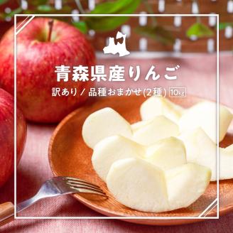 【2026年1月中旬発送】※12月末まで受付※【訳あり】 旬の美味しい りんご 約10kg 青森産 【おまかせ2品種】