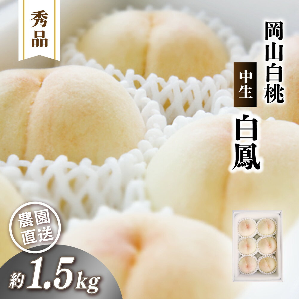 【ふるさと納税】 岡山白桃 中生 白鳳 秀品 約1.5kg 4～6玉 【2026年先行予約】 中生 はくほう 白桃 贈答 お中元 ギフト 産直 高級 フルーツ 果物 くだもの プレゼント 【配送不可地域：北海道／沖縄県／離島】 momo01