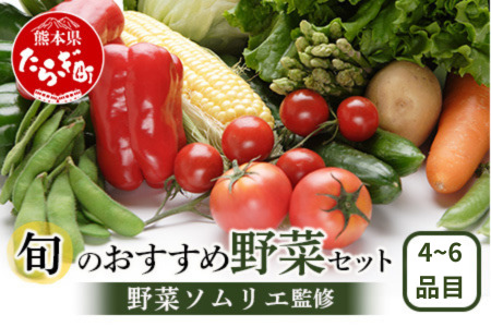 【数量限定】野菜ソムリエ 監修 旬の おすすめ 野菜 セット 4～6品 (1-2名様向け)  熊本県 多良木町 024-0801