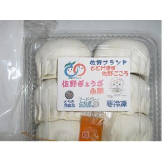 佐野餃子(大)10個2人前×2パックと濃縮佐野ラーメン6人前【配送不可地域：離島・沖縄県】