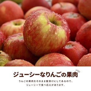 アップルチョコレートミルク450g【fktr0009】
