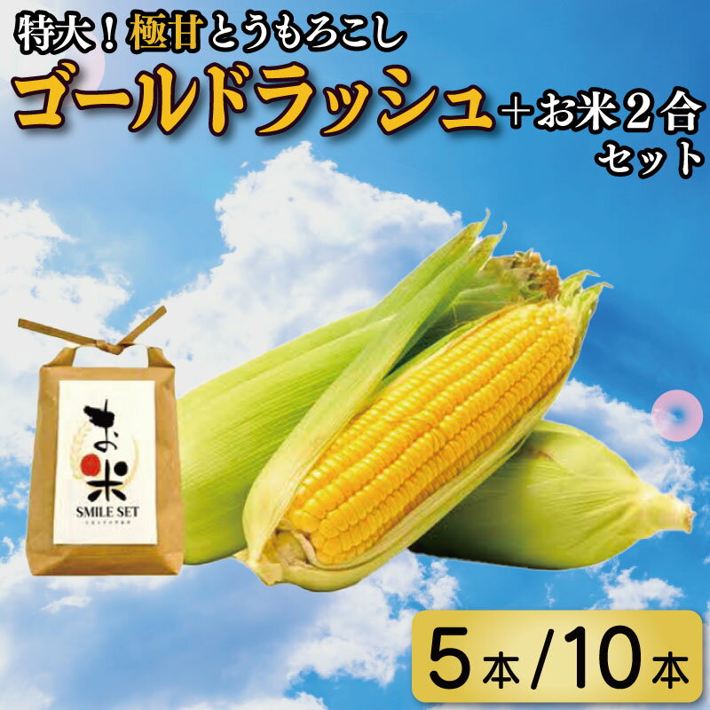 【ふるさと納税】 とうもろこし 米 セット ゴールドラッシュ 選べる 5本 2kg / 10本 4kg コメ 2合 お米 アキサカリ ごはん 先行予約 コーン スイートコーン 甘い レシピ付き 期間限定 夏 旬 野菜 鍋 炒め物 煮物 スープ 弁当 惣菜 おかず 健康 新鮮 国産 吉野川市 徳島県
