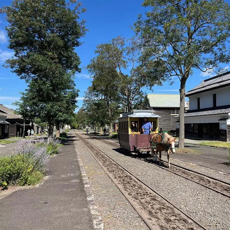 歴史と文化の北海道3館共通券 一般1名様分 人気 おすすめ 利用券 チケット F6S-519