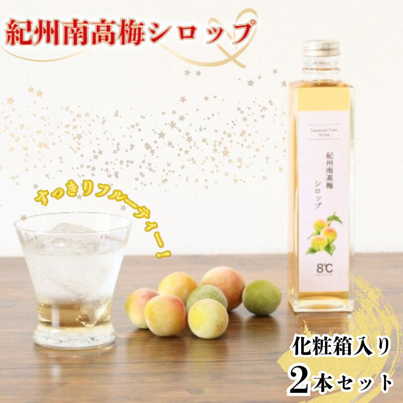 【ふるさと納税】紀州南高梅シロップ　2本セット　化粧箱入り 《 レビューキャンペーン 実施中 ! 》/ 梅酒 ウメ 梅ジュース 梅ソーダ ドリンク