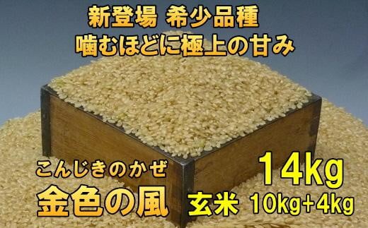 【玄米14kg】新登場の高級米　令和6年産  岩手県奥州市産 金色の風14kg（10kg＋4kg）【７日以内発送】